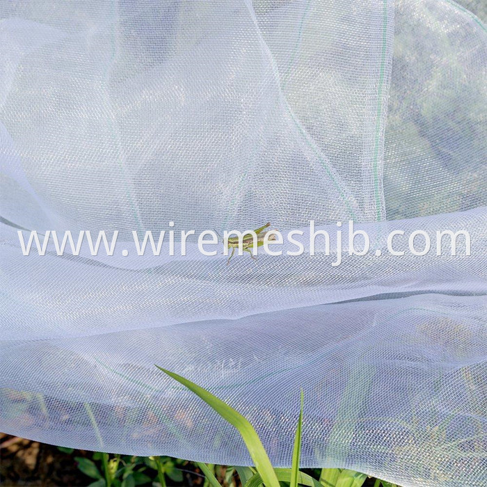 Insect Net Mesh